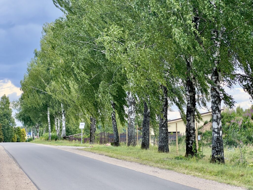 Home plus (Kolektyvo g. 33, 35, 37, 39, 41, 43, 45, 47, 49, 51, 53, 55, 57, 59, 61, 63, 67, 69, 71, 73, 75, 77, 79, 81, Nemėžis) - Private house community - construction photos