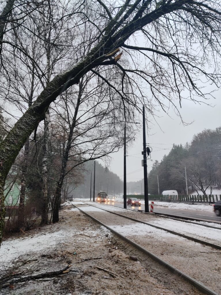 T. Narbuto g. dviračių takas ir viešojo transporto juosta (T. Narbuto g.) - Bike path - construction photos