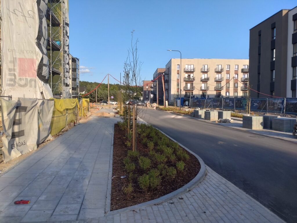 Lietaus gatvės atkarpa (Lietaus g.) - Street - construction photos