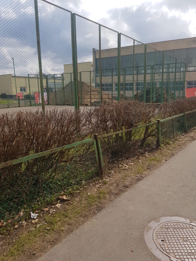 Žirmūnų gimnazijos baseino rekonstrukcija (Žirmūnų g. 37) - Pool - construction photos