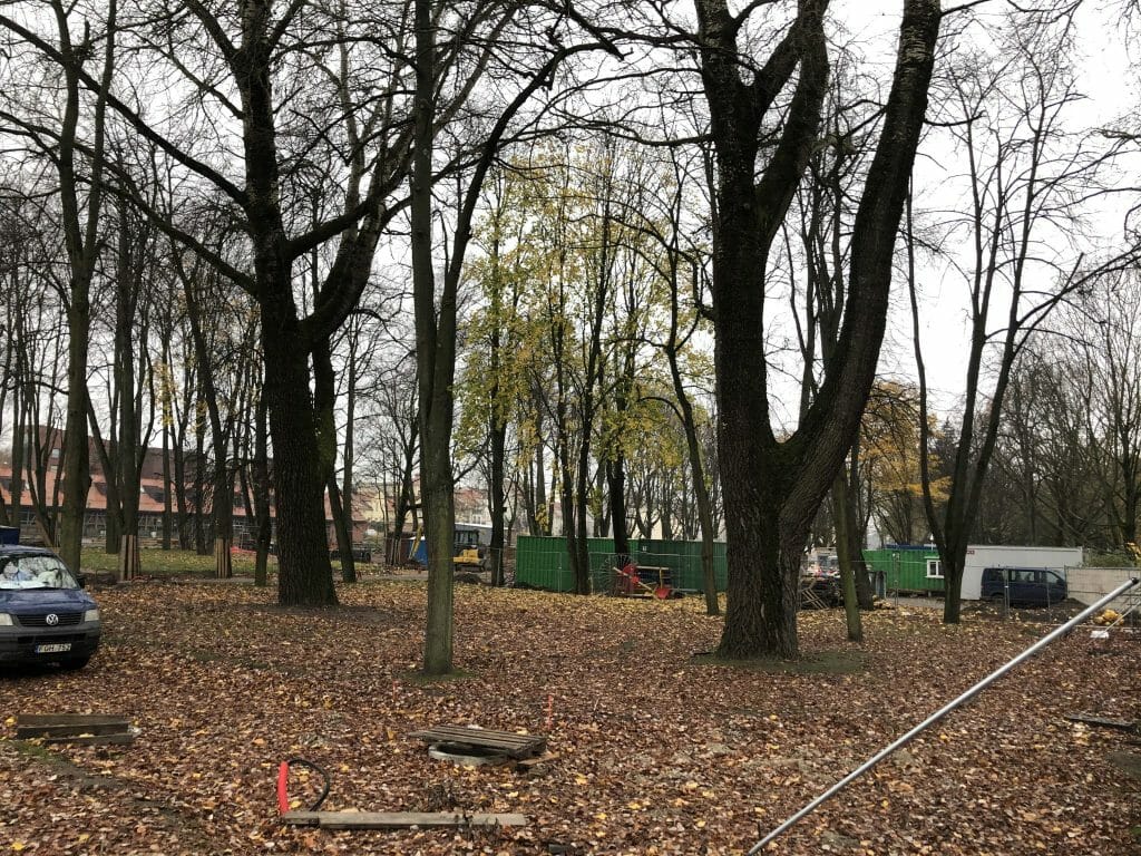 Danės krantinių rekonstrukcija (Danės g.) - Park - construction photos