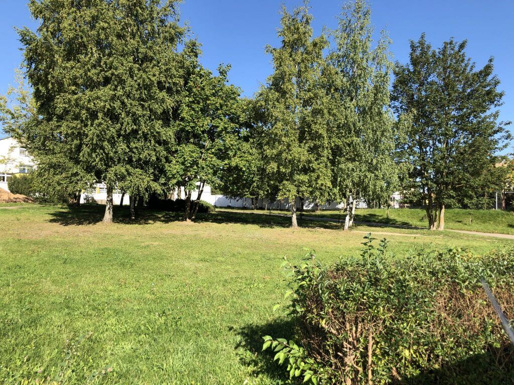 Žemynos progimnazijos sporto salė (Žemynos g. 14) - Sports arena - construction photos