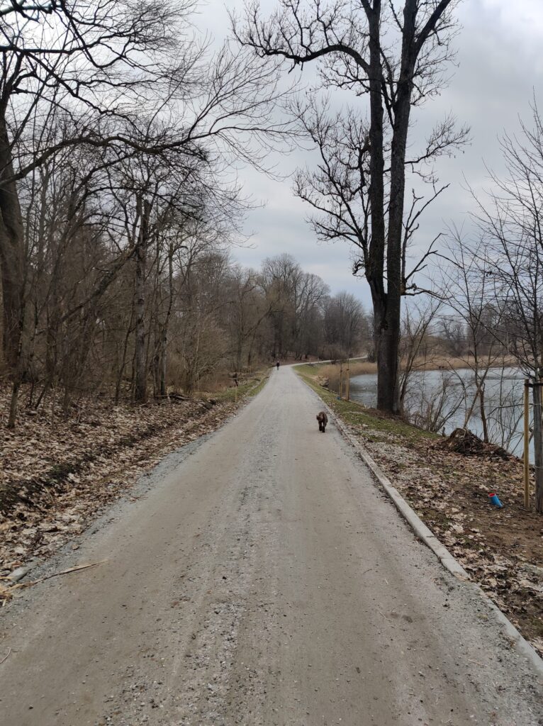 Dviračių takas Fermentų g. - Liepų alėja (Fermentų g., V. A. Graičiūno g., Stasylų g., Vinkšnų g.) - Dviračių takas - statybų nuotraukos