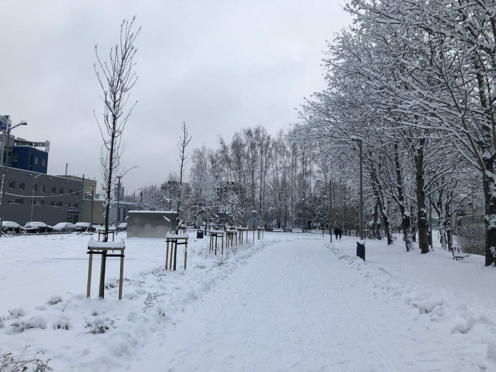 Neries senvagės slėnis (Linkmenų g.) - Bike path, Park - construction photos