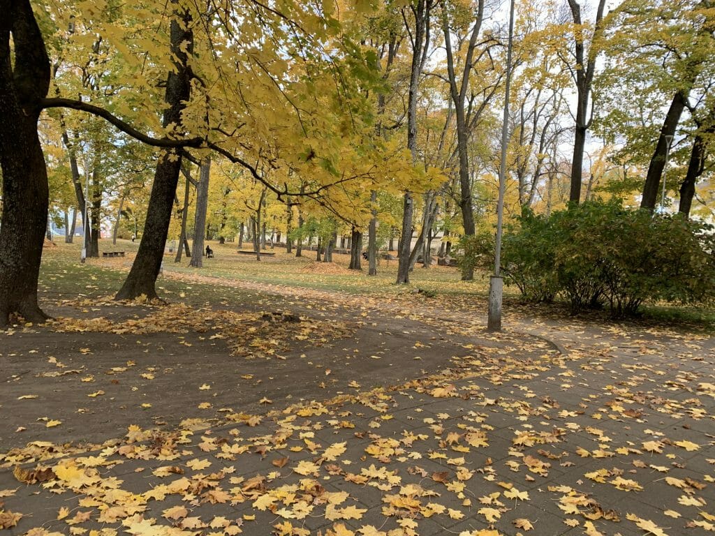 Liuteronų sodas (V. Mykolaičio - Putino g.) - Park - ehituse fotod