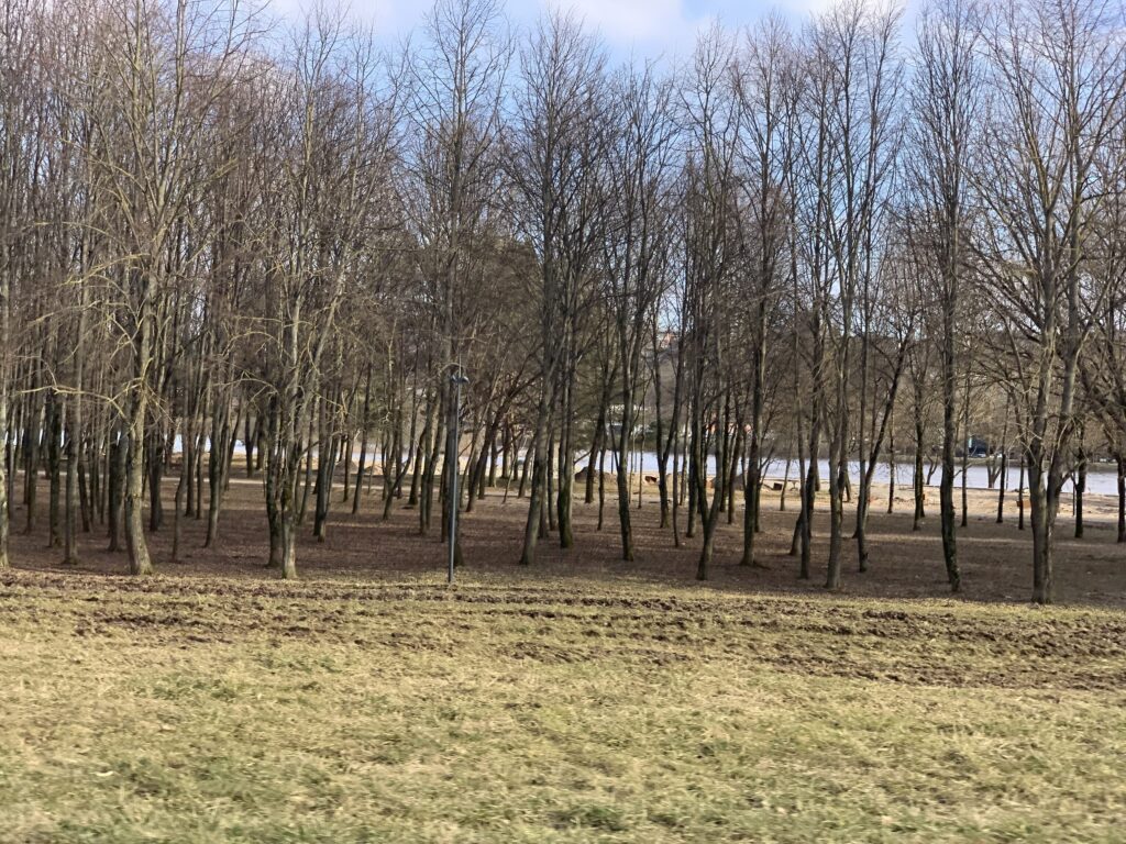 Neries krantinės parkas (Neries krant.) - Park - construction photos