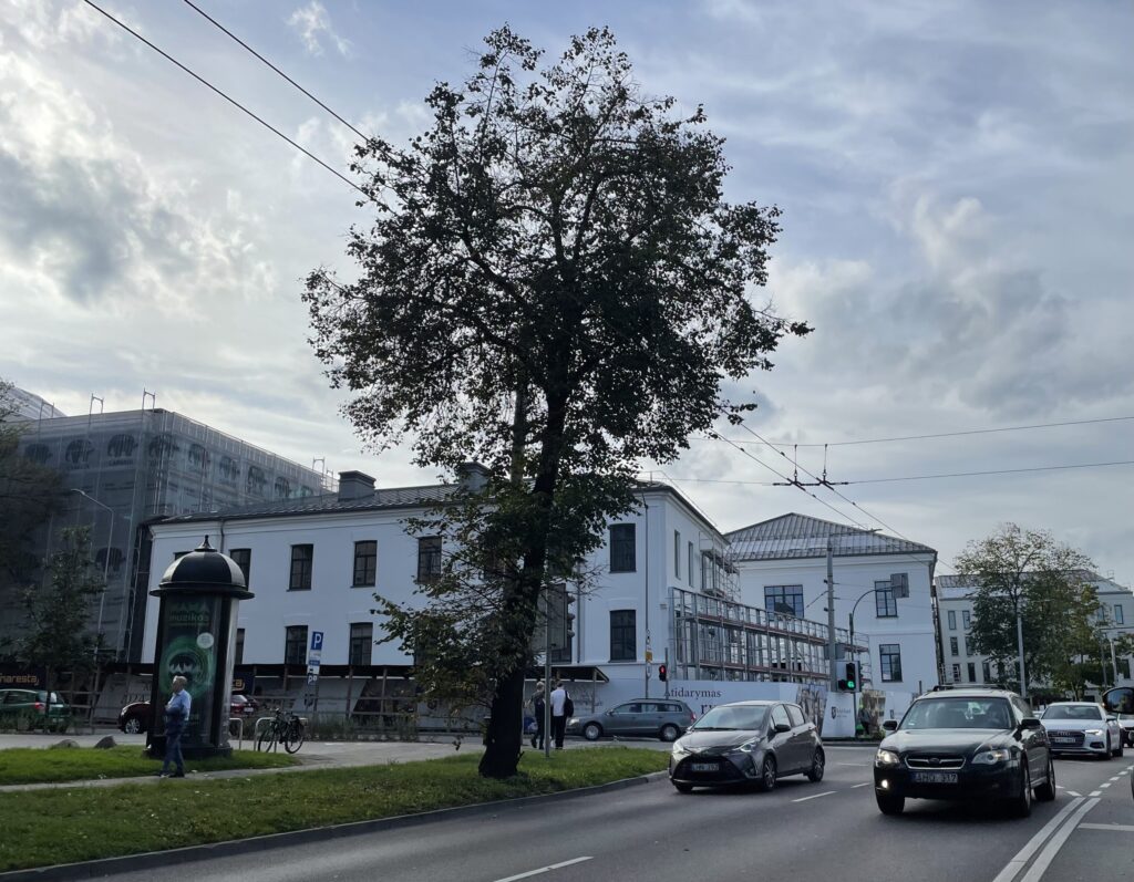 Vasario 16-osios (Vasario 16-osios g. 1) - Hotel, Office center, Primary and secondary education - construction photos