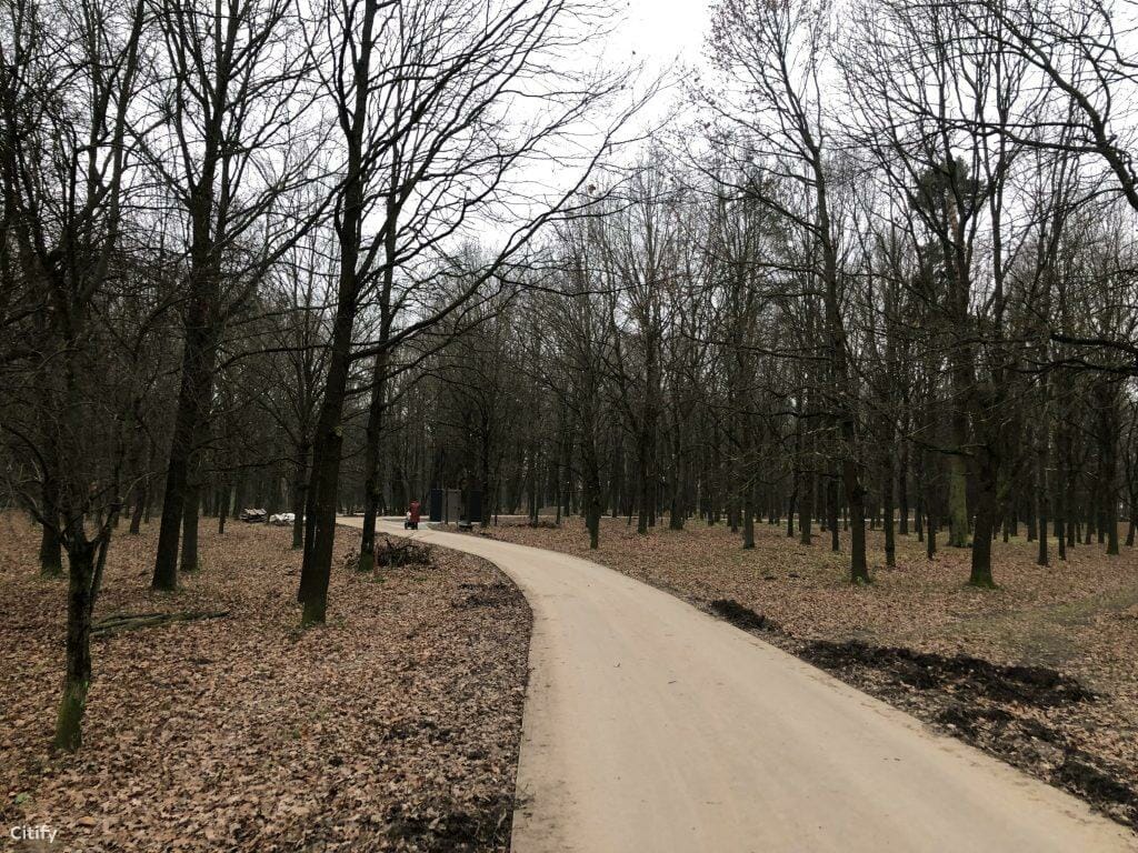 Ąžuolyno parkas (Radvilėnų pl.) - Park - construction photos
