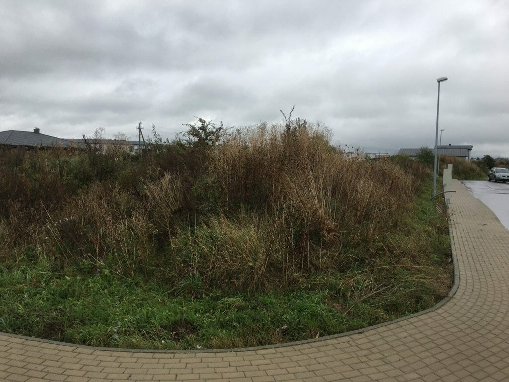 Karališkių g. 14,16,18 (Karališkių g. 14,16,18) - Row housing - construction photos