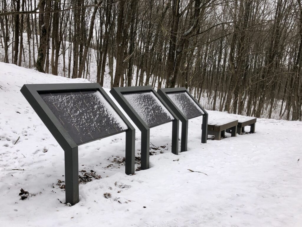 Kalnų parkas (Arsenalo g. 5) - Park - construction photos