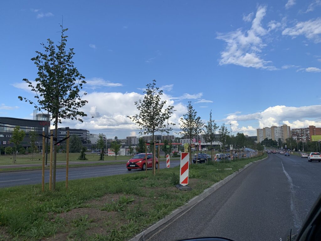 Ozo g. A juosta tarp Gelvonų ir Kernavės g. (Ozo g.) - Street - construction photos