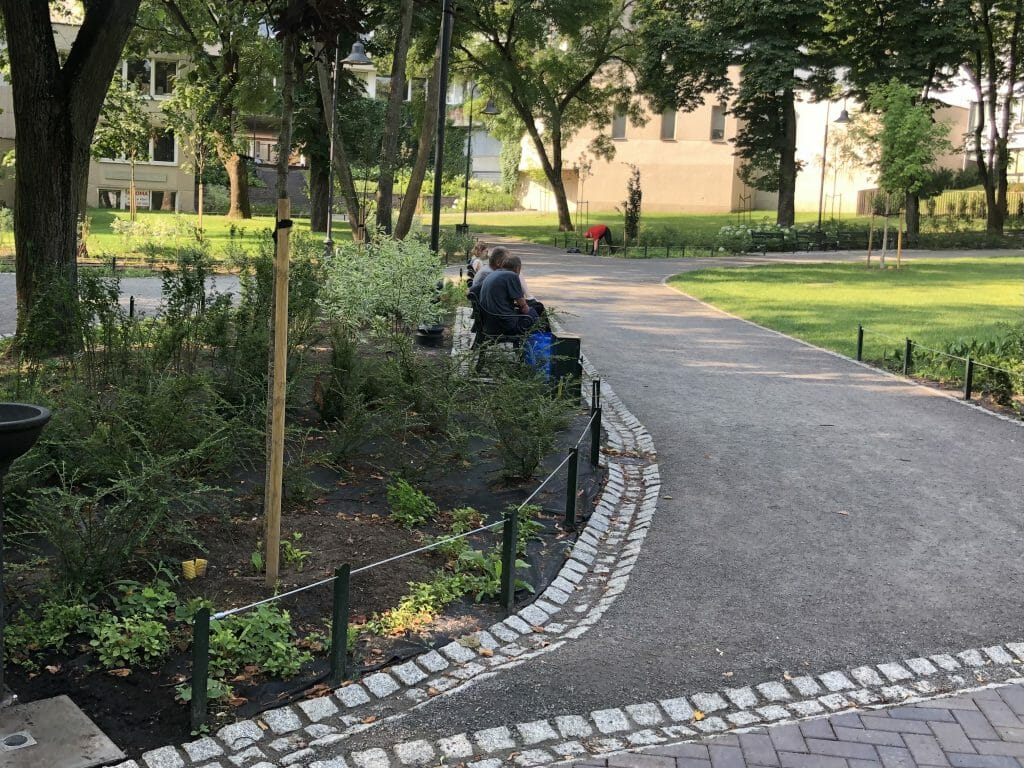 Reformatų parkas (Pylimo g.) - Parkas - statybų nuotraukos