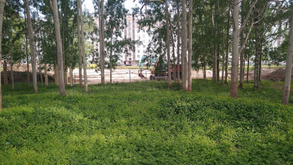 Deglava Gleznotāju rezidences - 3. kārta - "Dali" ēka (Dravnieku iela 3 k-3) - Multi apartment - construction photos