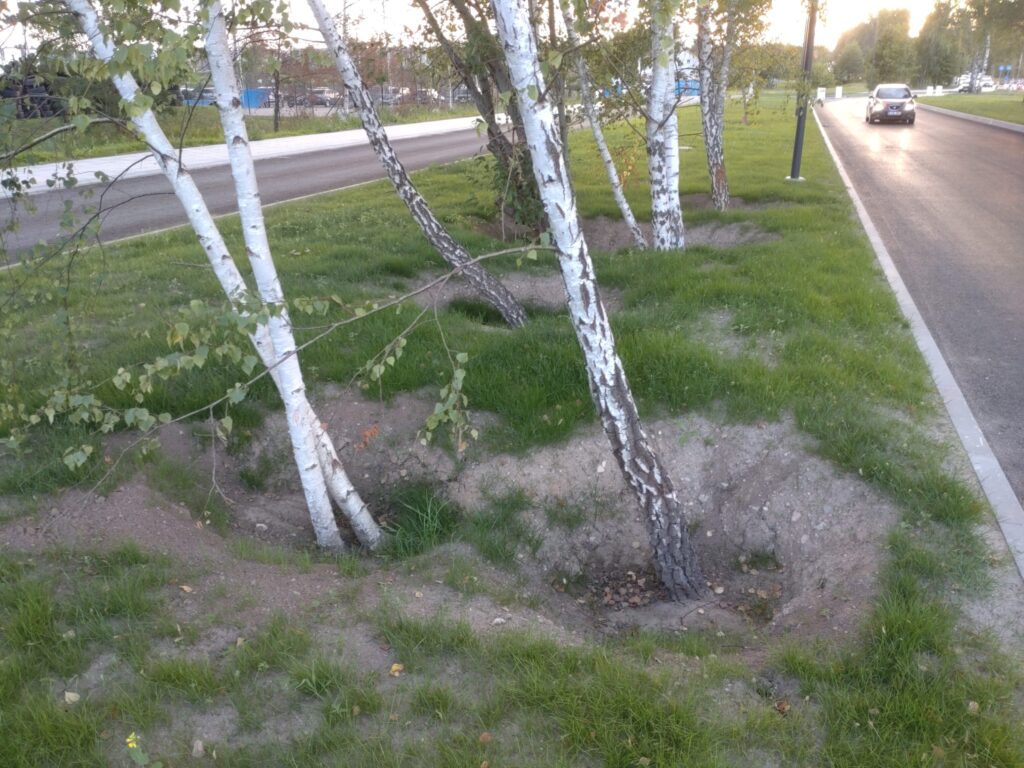 Pilaitės pr. ir Elbingo g. sankryža (Pilaitės pr.) - Jalgrattatee, Tänav - ehituse fotod