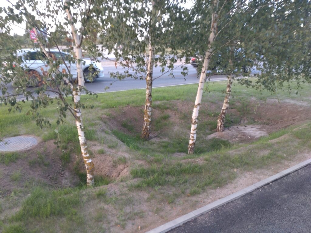 Pilaitės pr. ir Elbingo g. sankryža (Pilaitės pr.) - Jalgrattatee, Tänav - ehituse fotod