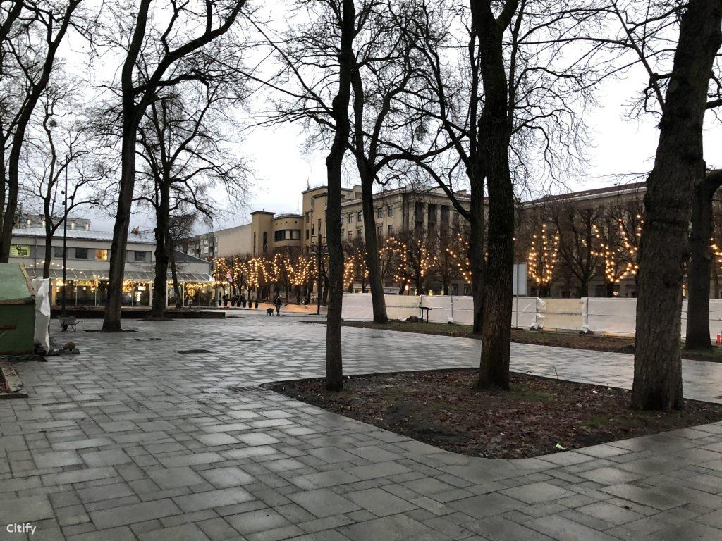 Miesto sodas (Laisvės al.) - Park - construction photos