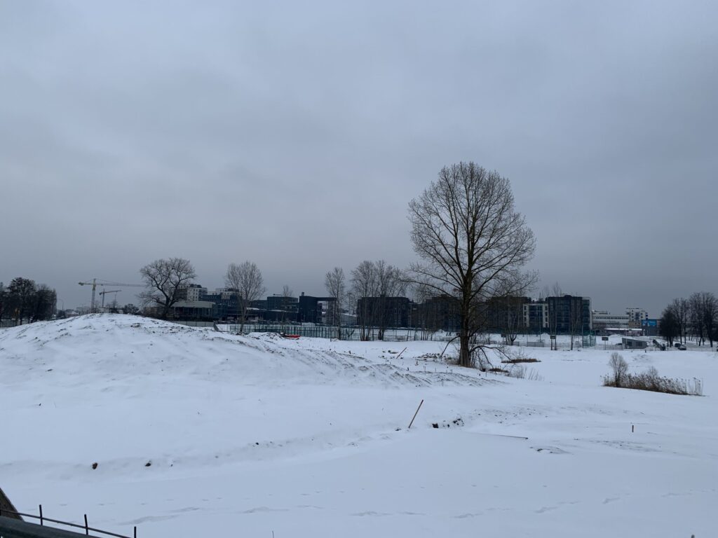 Japoniškas sodas "Taku-Soku-En" (Linkmenų g. 2A) - Park - construction photos