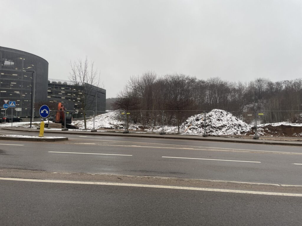 Ozų ozas (Vito Gerulaičio g. 4) - Co-living, Multi apartment - construction photos