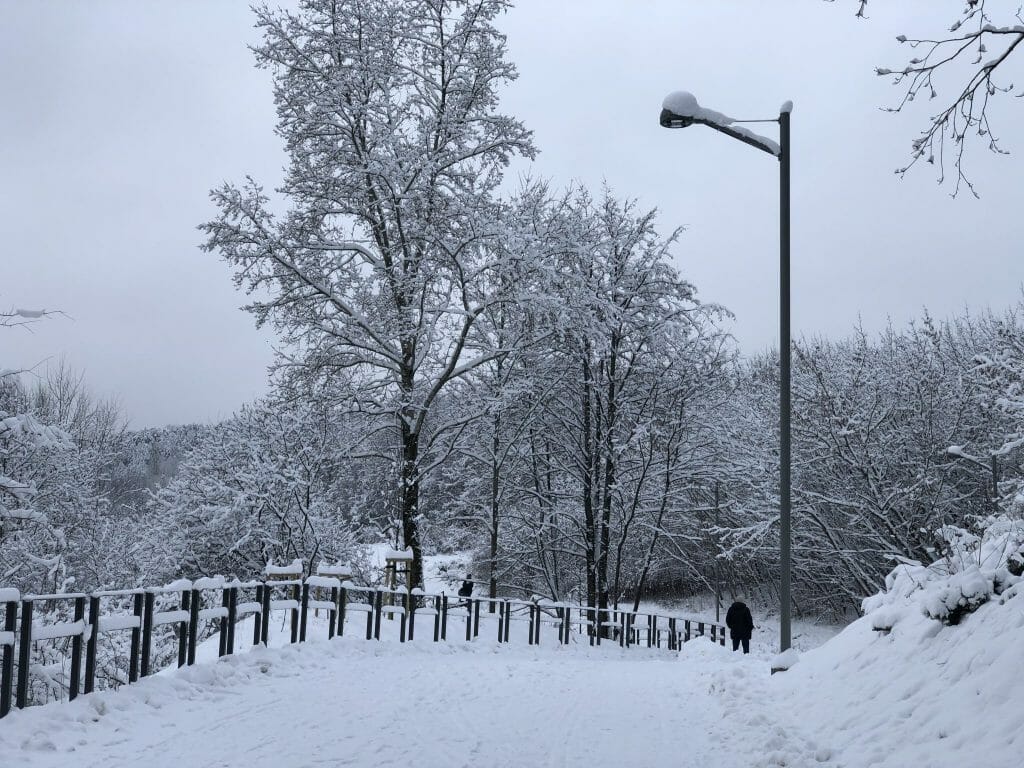 Neries senvagės slėnis (Linkmenų g.) - Bike path, Park - construction photos