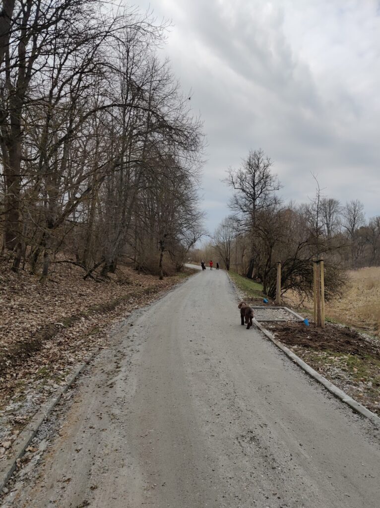 Dviračių takas Fermentų g. - Liepų alėja (Fermentų g., V. A. Graičiūno g., Stasylų g., Vinkšnų g.) - Dviračių takas - statybų nuotraukos