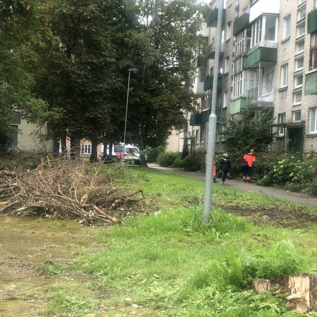 Rumpiškių kvartalas (III teritorija) (Taikos pr.,Rumpiškės g., Sausio 15-osios g.) - Pedestrian path - construction photos