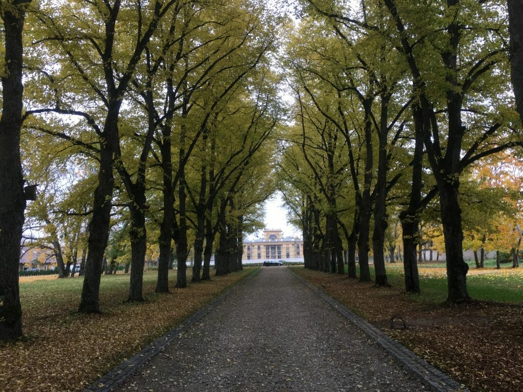 Trakų Vokės dvaro sodybos parkas (E. Andrė g.) - Park - construction photos