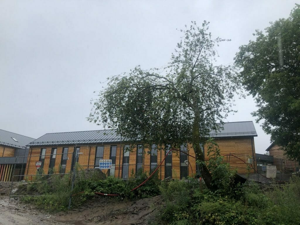 Augalų centro "Multiflora" plėtra (A. Kojelavičiaus g. 1) - Büroohoone, Kool - ehituse fotod