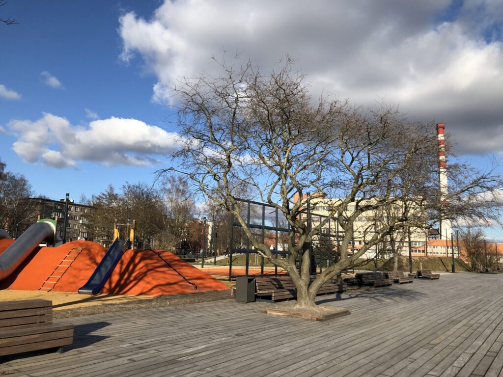 Danės krantinių rekonstrukcija (Danės g.) - Park - construction photos