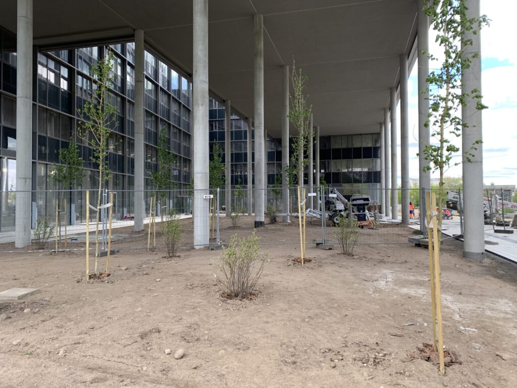 Business Stadium North East (Rinktinės g. 3) - Verslo centras - statybų nuotraukos