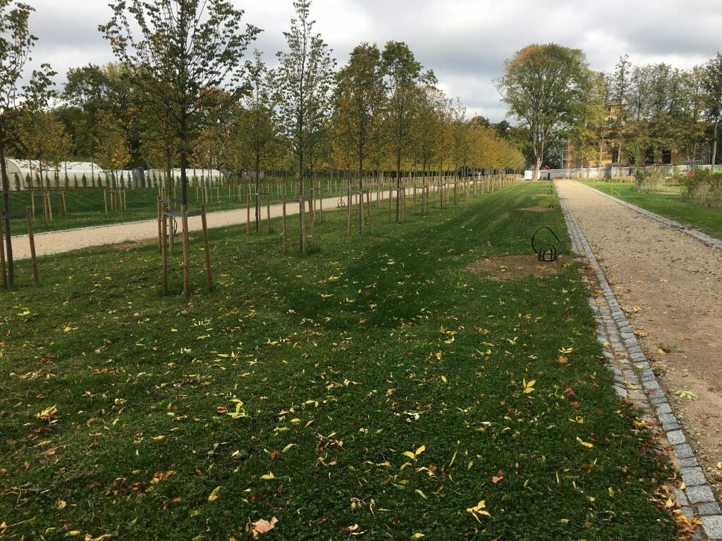 Trakų Vokės dvaro sodybos parkas (E. Andrė g.) - Park - construction photos