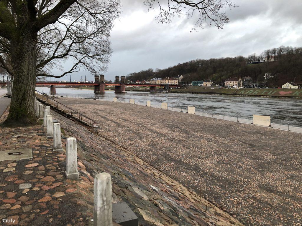 Daugirdo amfiteatras (Prieplaukos krant. 2) - Ūdenstilpnes krasts - būvdarbu attēli