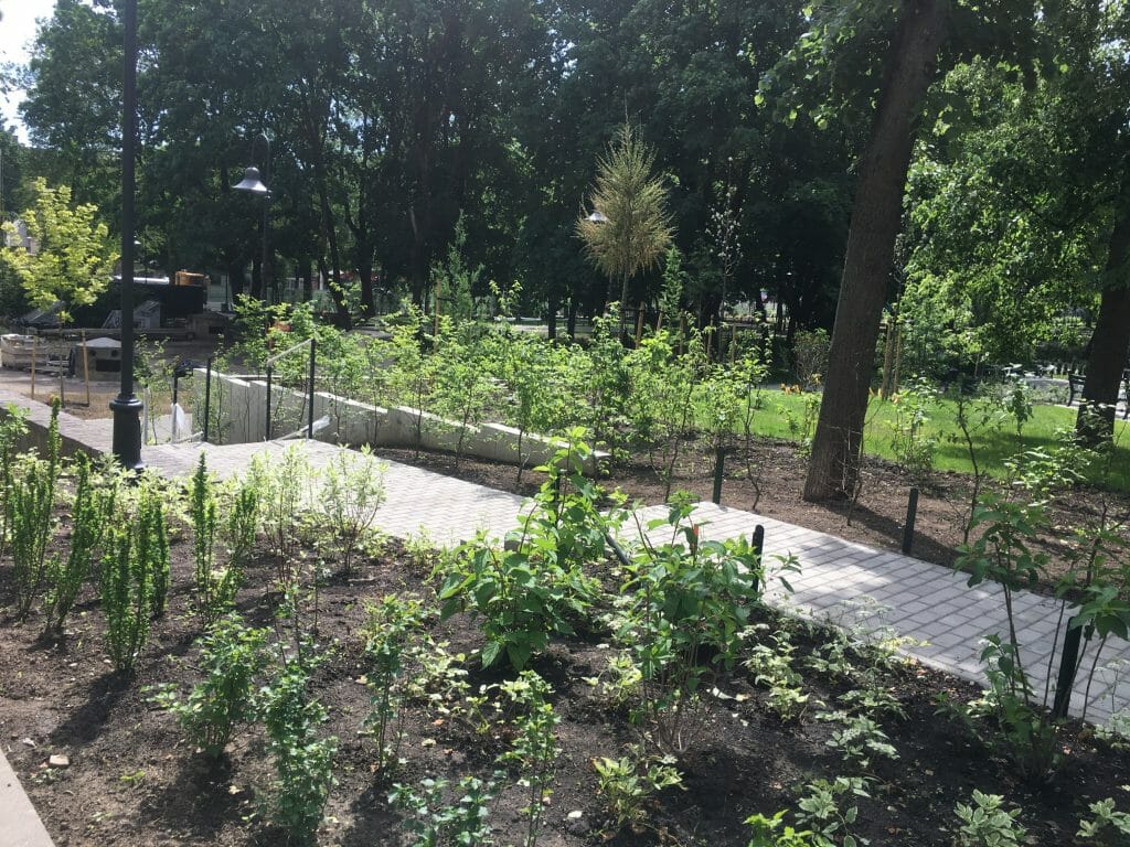 Reformatų parkas (Pylimo g.) - Parkas - statybų nuotraukos