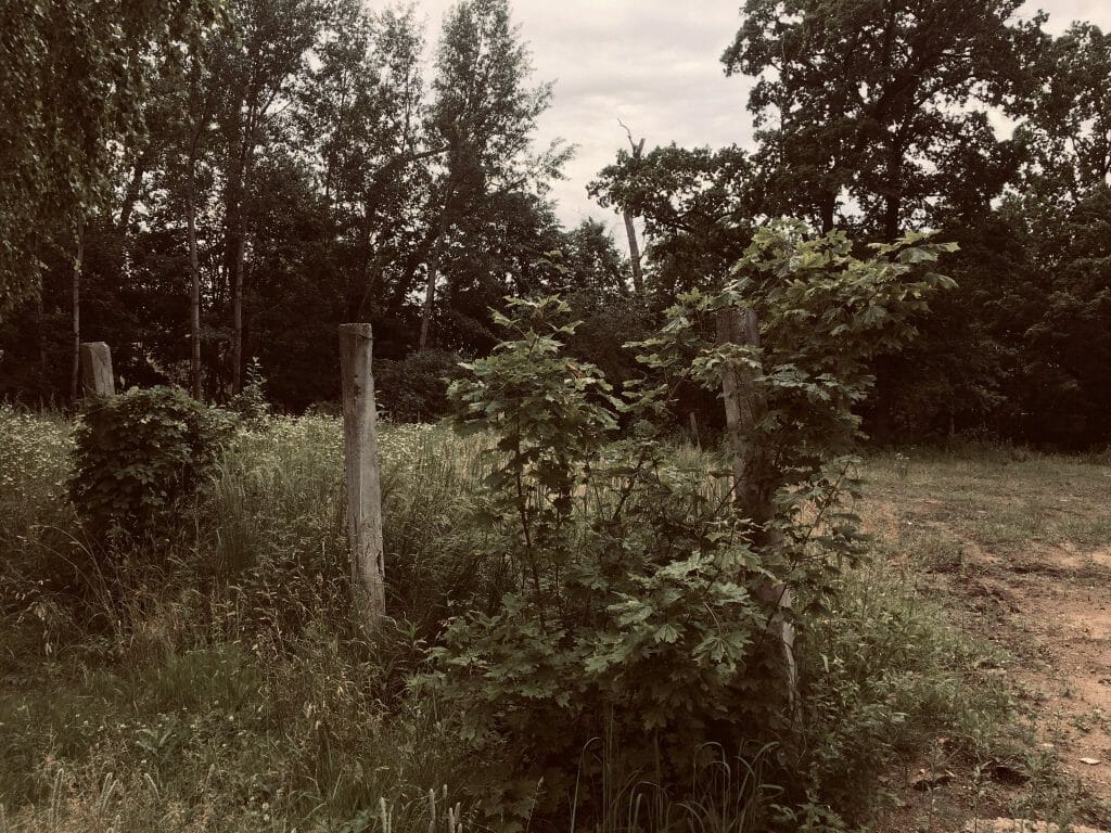 Aukštieji Šančiai (Medvėgalio g. 4) - Multi apartment - construction photos