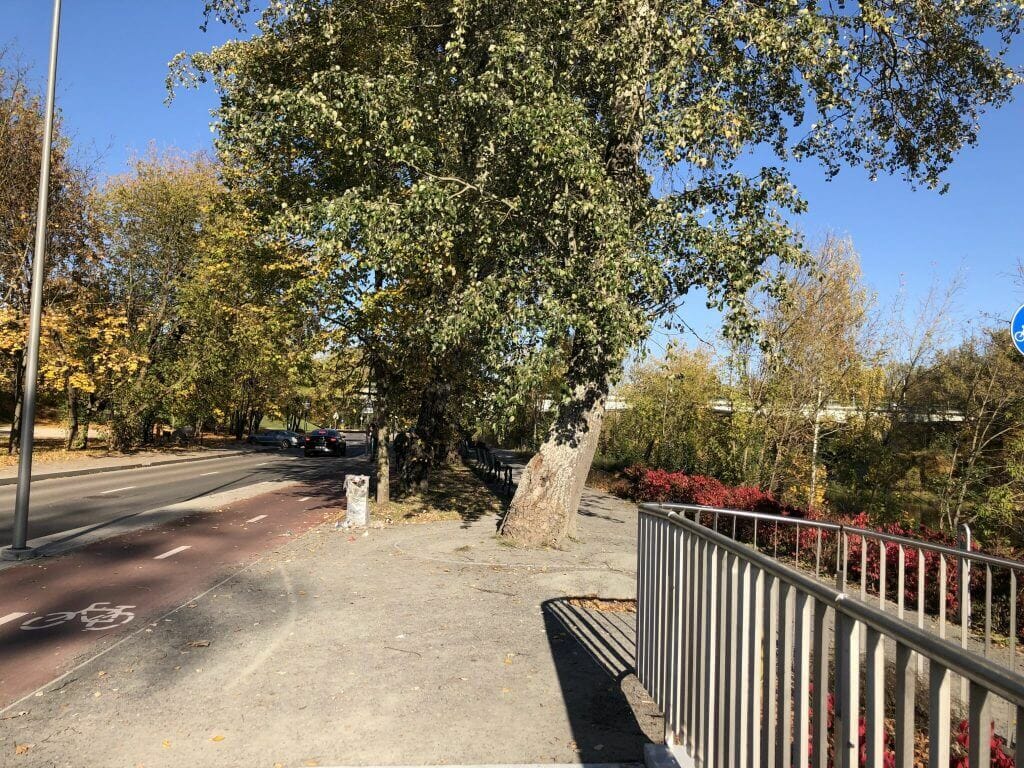 Neries dešiniosios krantinės (Upės g.) - Bike path, Sports field or court, Waterside - construction photos