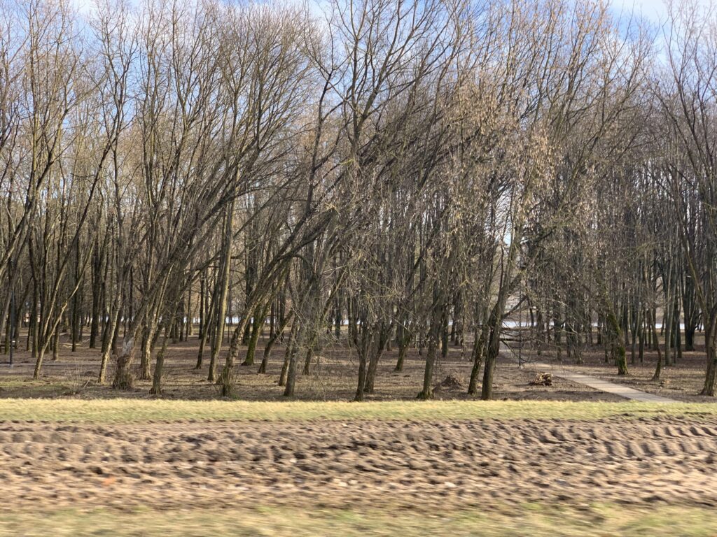 Neries krantinės parkas (Neries krant.) - Park - construction photos