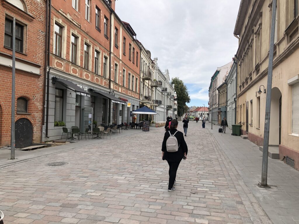 Vilniaus g. rekonstrukcija (Vilniaus g.) - Street - construction photos