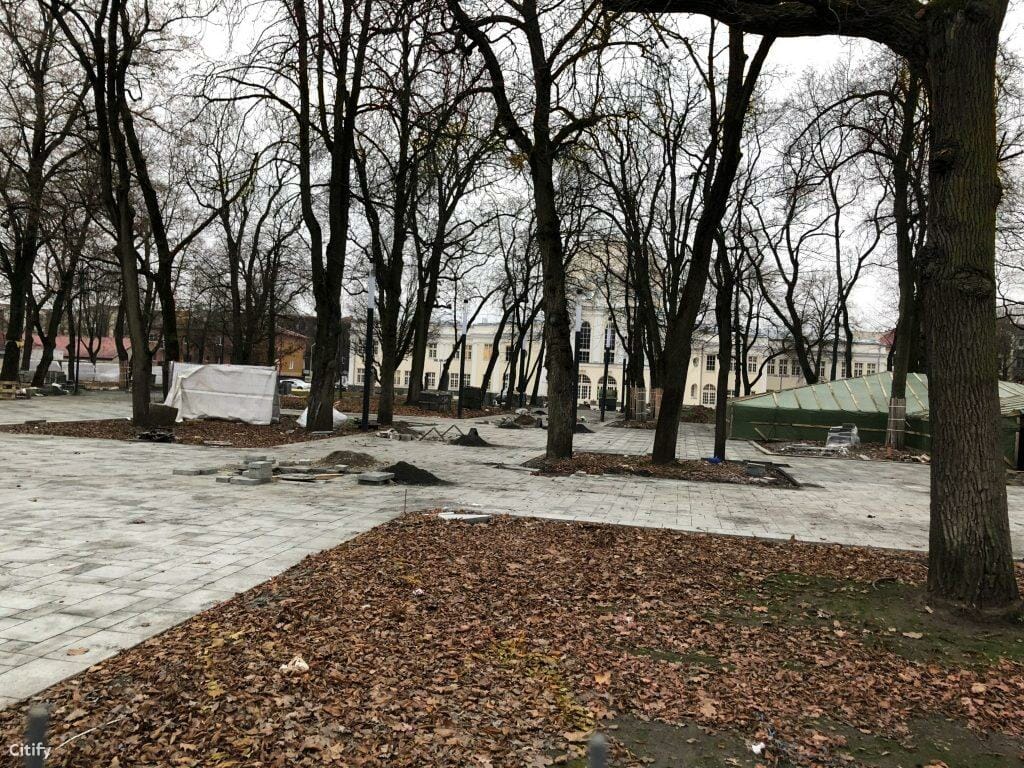 Miesto sodas (Laisvės al.) - Park - construction photos