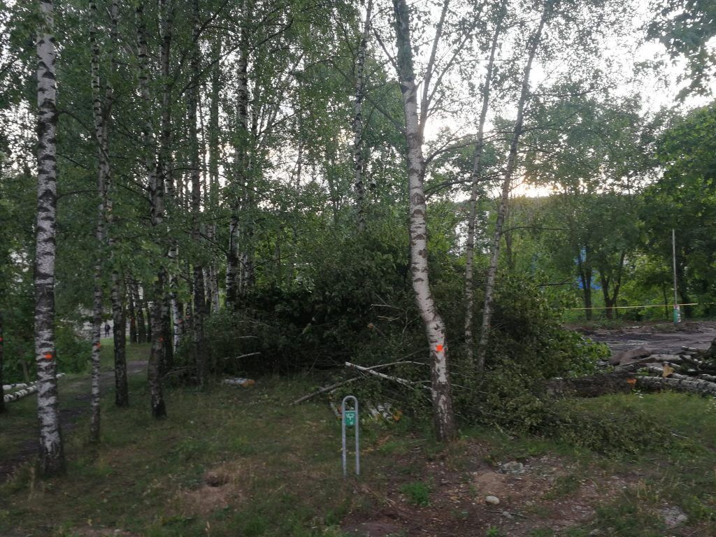 Neries senvagės slėnis (Linkmenų g.) - Bike path, Park - construction photos