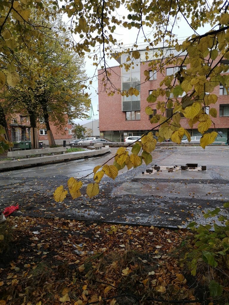Ferdinando skveras (Jūros g., Gegužės g., Bokštų g., Krovėjų g.) - Square - construction photos