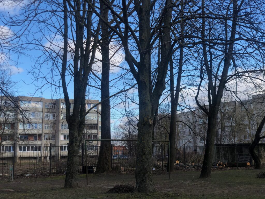 Žalgirio g. 13A (Žalgirio g. 13A) - Multi apartment - construction photos