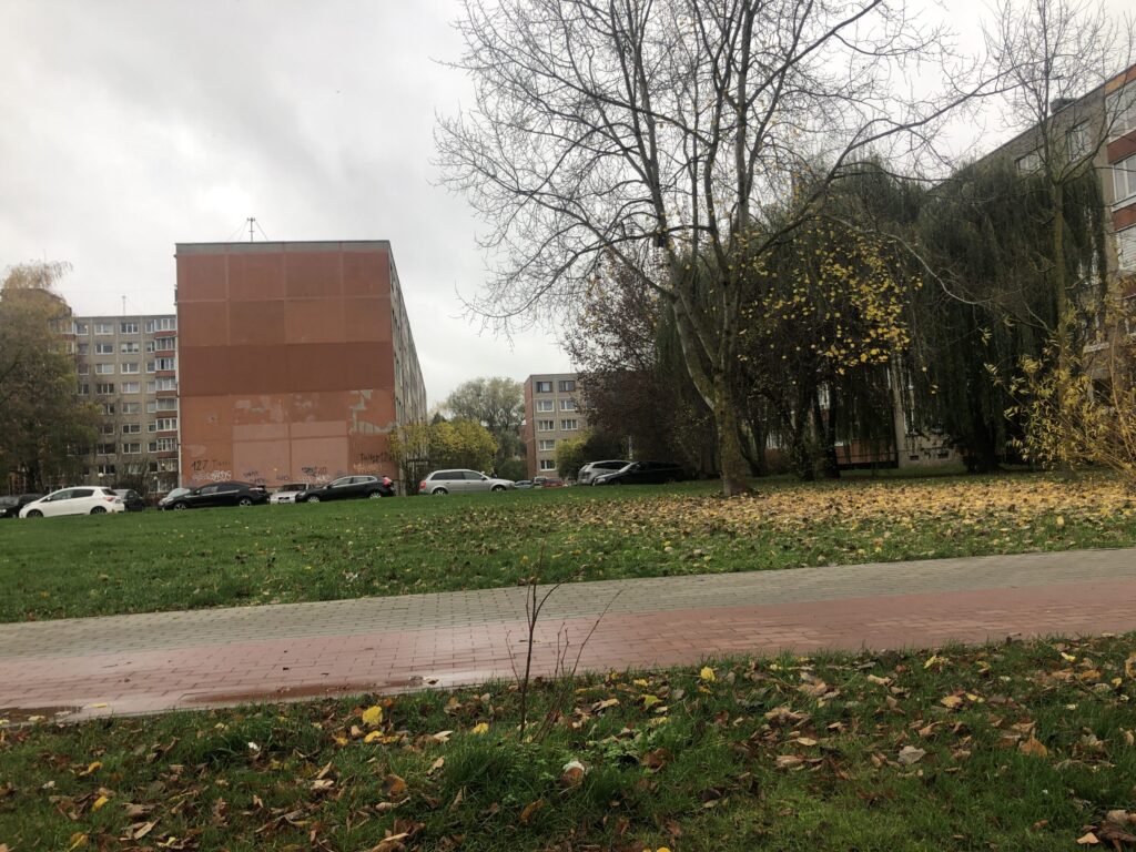 Statybininkų pr., Žardininkų g. kiemų sutvarkymas (Statybininkų pr., Žardininkų g.) - Kelias - statybų nuotraukos