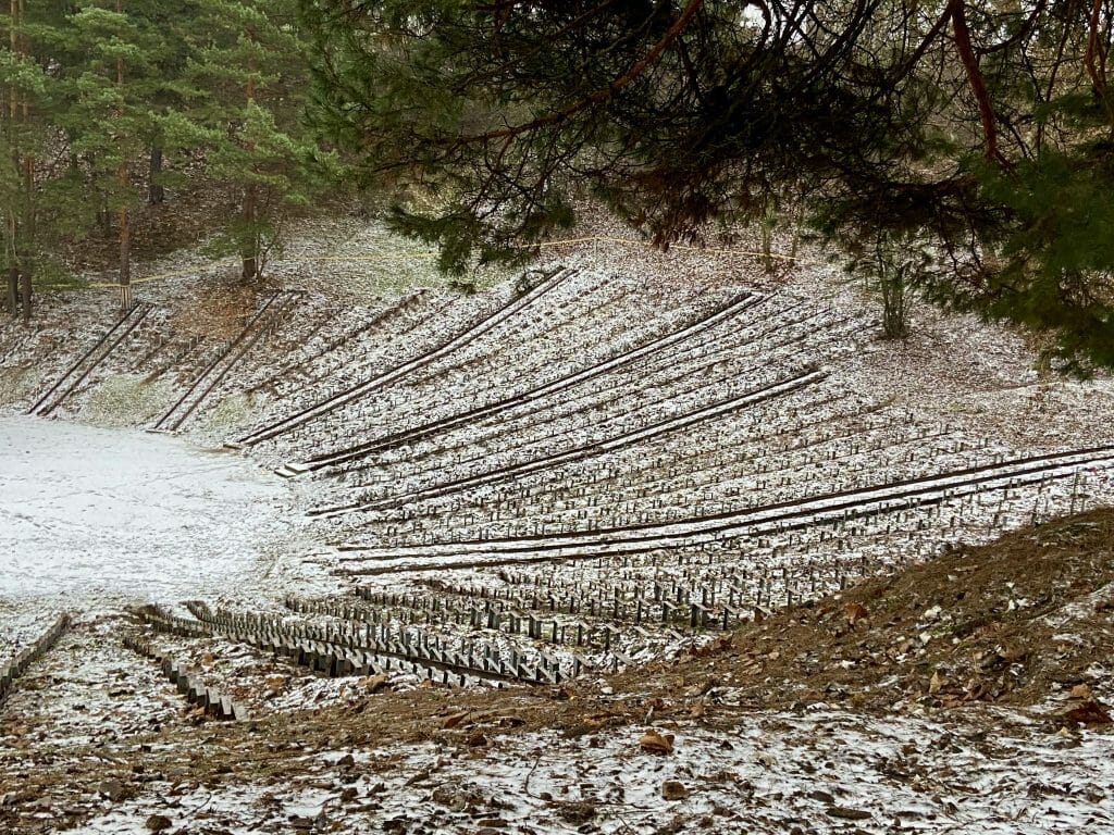 Kalnų parkas (Arsenalo g. 5) - Park - construction photos