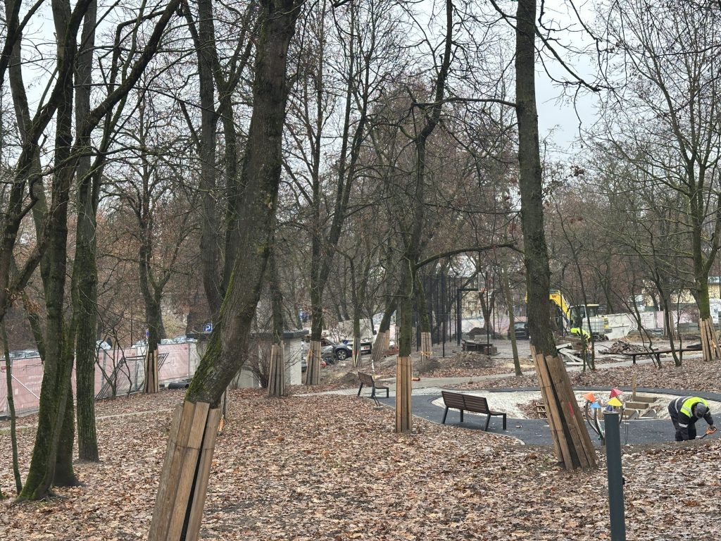 Pelesos skveras (Liepkalnio g. / Pelesos g.) - Parks - būvdarbu attēli