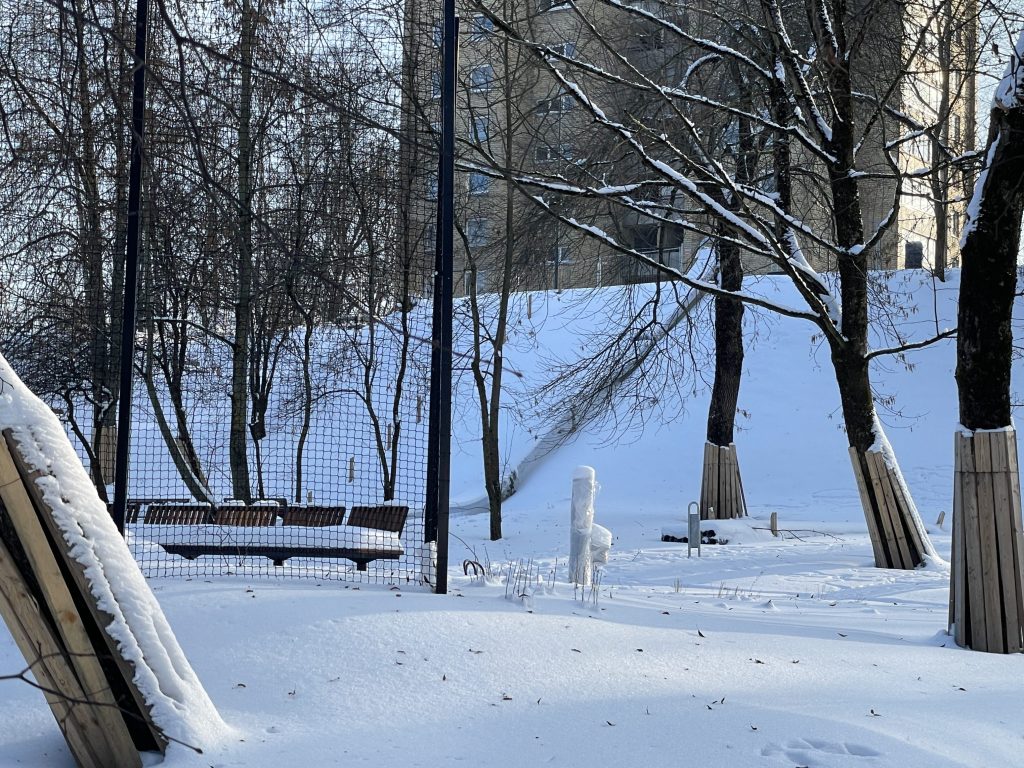 Pelesos skveras (Liepkalnio g. / Pelesos g.) - Parks - būvdarbu attēli