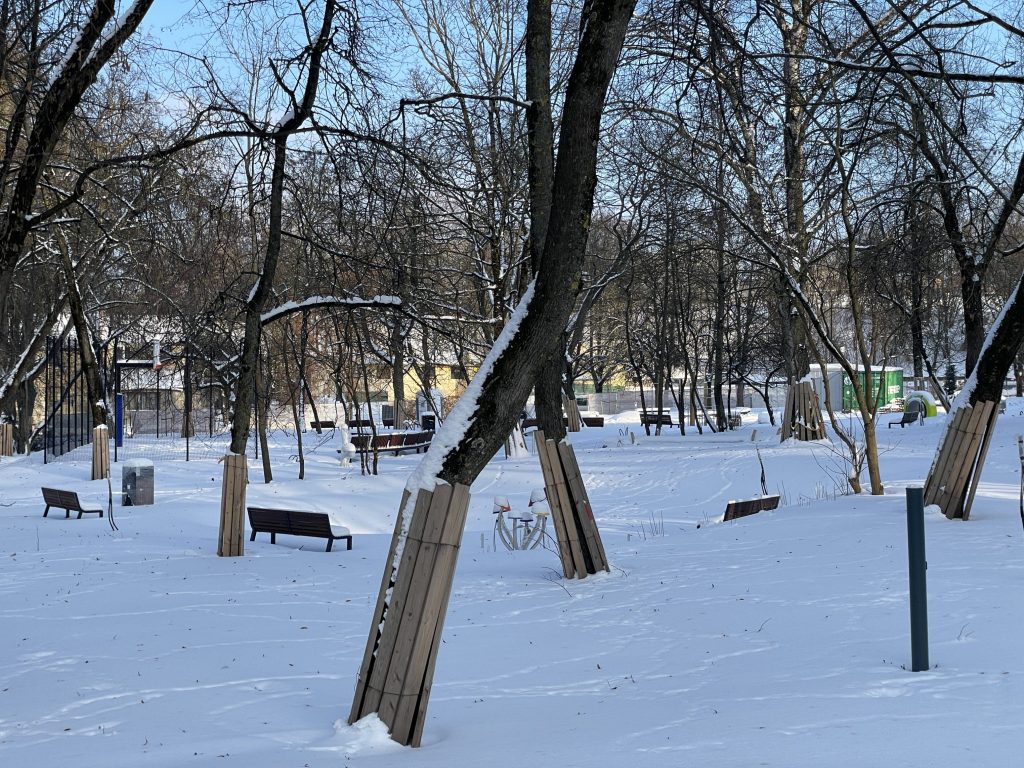 Pelesos skveras (Liepkalnio g. / Pelesos g.) - Parks - būvdarbu attēli