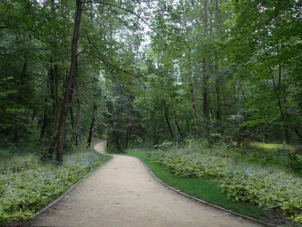 Jeruzalės tvenkinio parkas (Jeruzalės g.) - Park - visualization