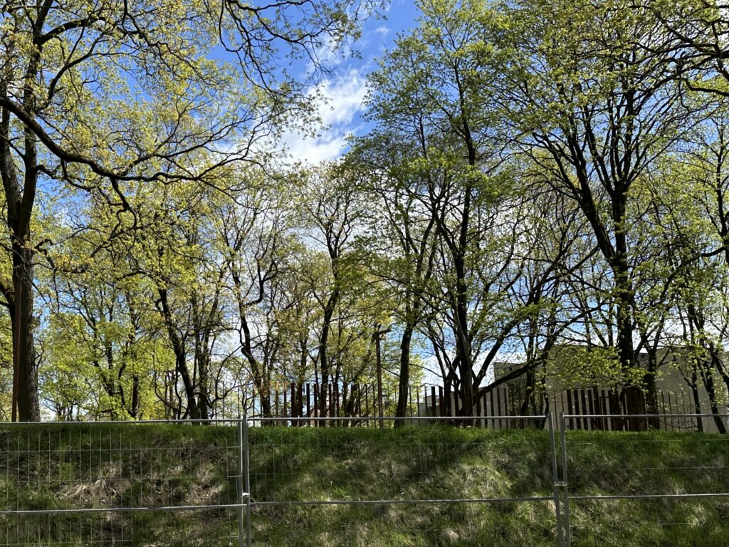 Liuteronų sodas (V. Mykolaičio - Putino g.) - Park - ehituse fotod