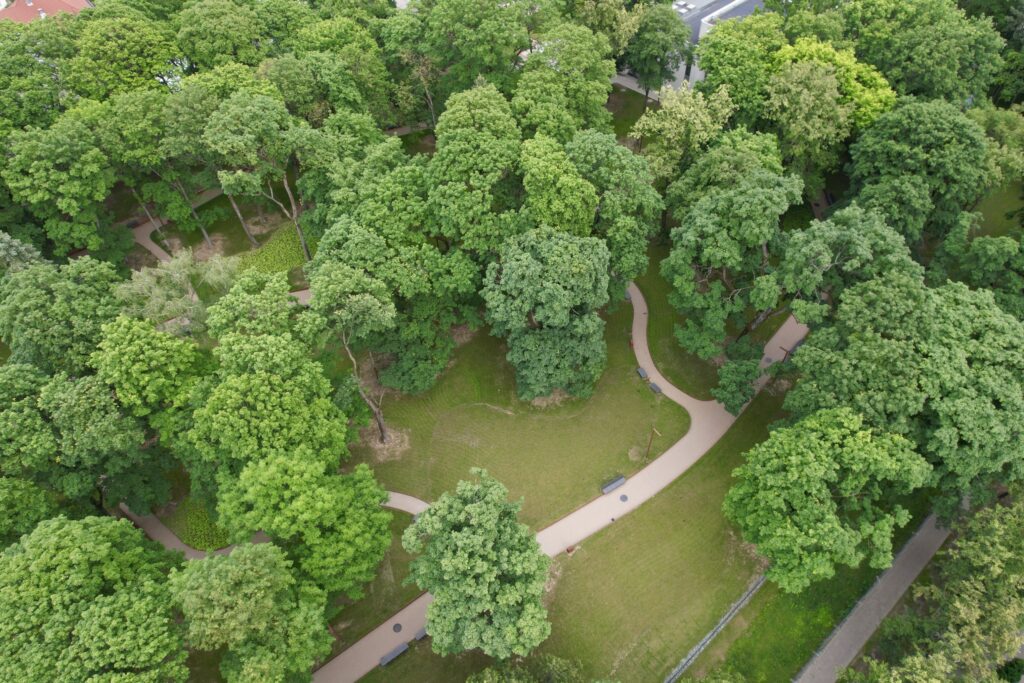 Liuteronų sodas (V. Mykolaičio - Putino g.) - Park - ehituse fotod