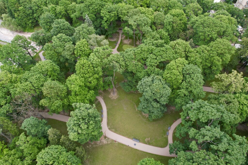 Liuteronų sodas (V. Mykolaičio - Putino g.) - Park - ehituse fotod
