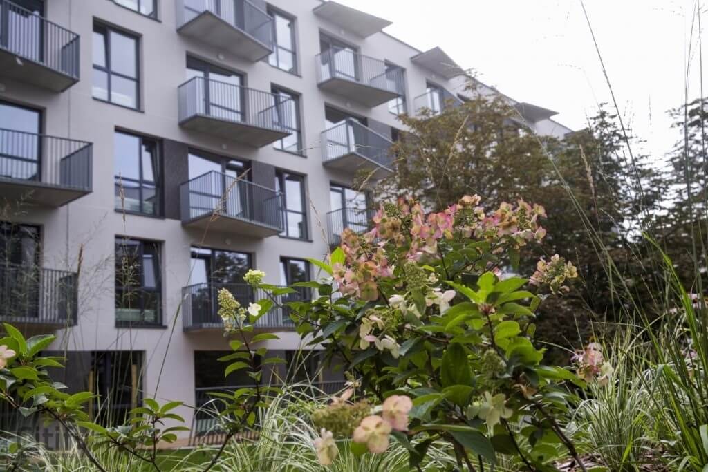 Ozo parkas 5 etapas (J. Lebedžio g. 1) - Korterelamu - ehituse fotod